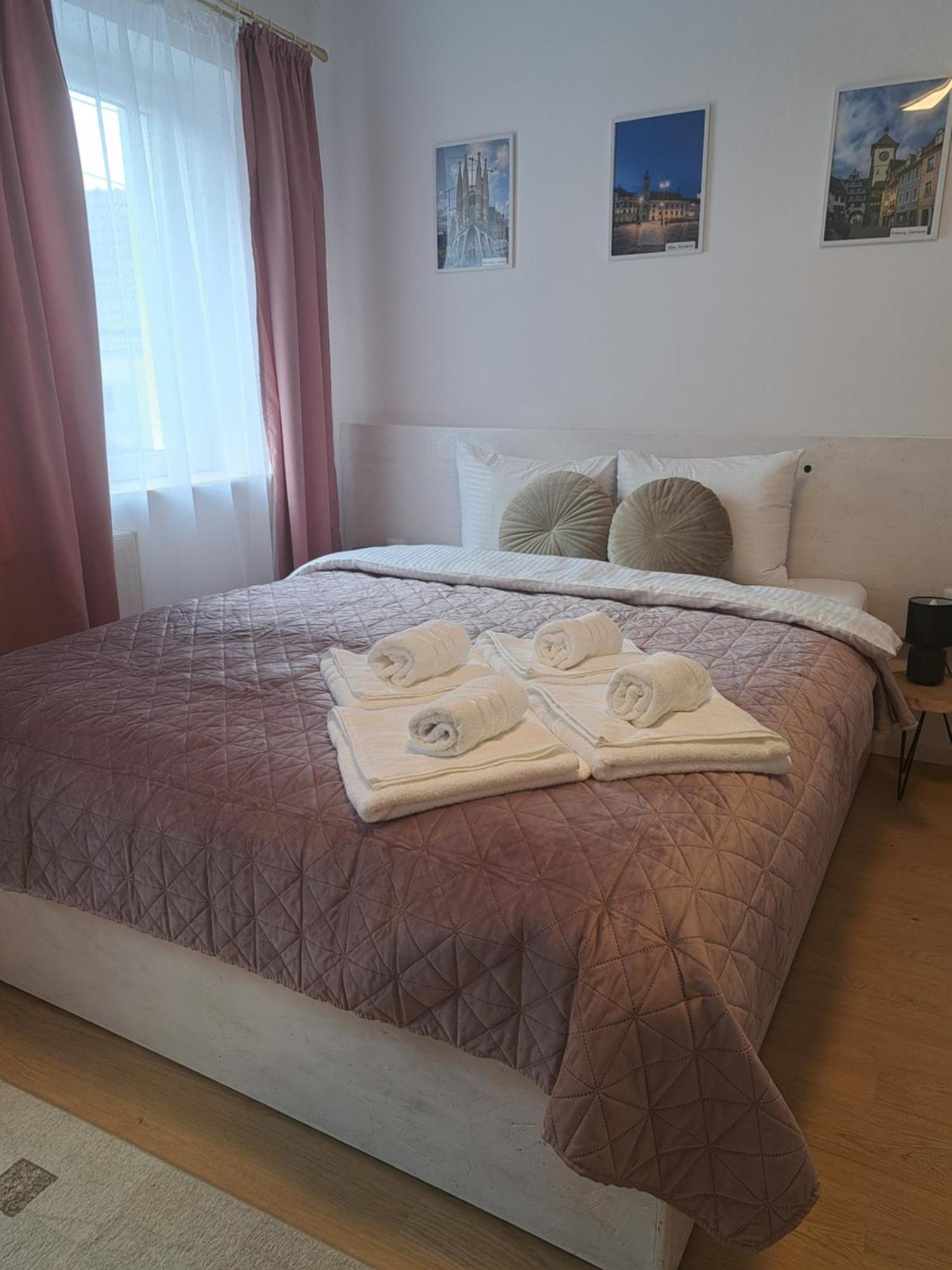 Studio With Free Parking In The Center - Deliamo 3 Сибиу Экстерьер фото