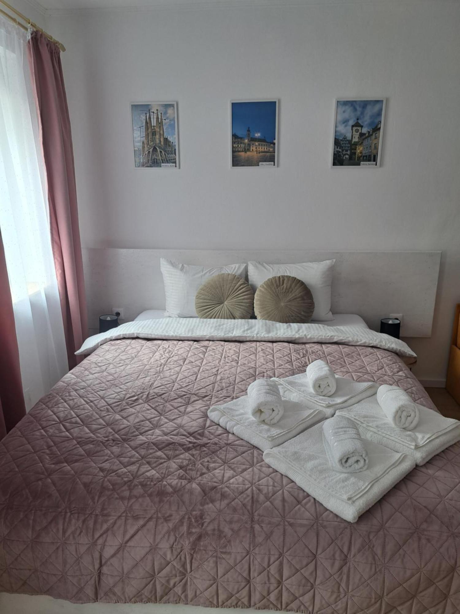 Studio With Free Parking In The Center - Deliamo 3 Сибиу Экстерьер фото